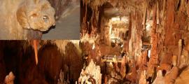 Petralona Cave - Greece