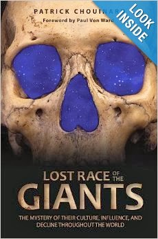 Original and intriguing Giants book