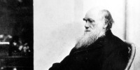 Fantastically Wrong: What Darwin Really Screwed Up About Evolution